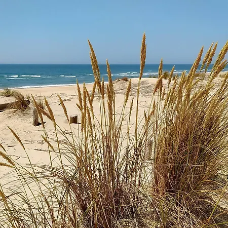 Hébergement de vacances Rénovée à La Palmyre Pour 6 Pers. - Patio, Wifi, Proche Et Commerces - Fr-1-705-85 *